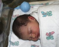 image030.jpg (7456 bytes)